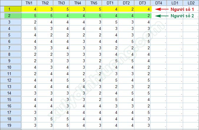 Mã hóa nhập liệu câu hỏi spss