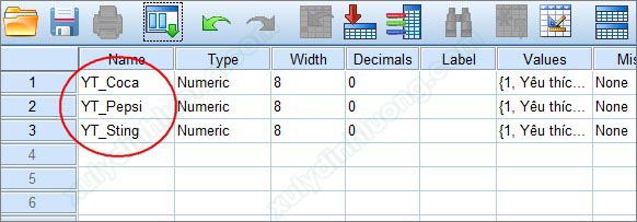 Mã hóa nhập liệu câu hỏi spss