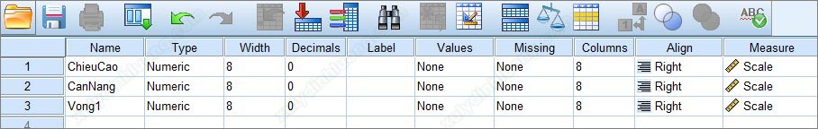 Mã hóa nhập liệu câu hỏi spss