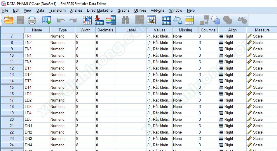 Mã hóa nhập liệu câu hỏi spss