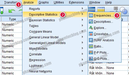cách chạy thống kê mô tả trong SPSS