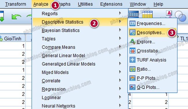 thong ke trung binh descriptive spss