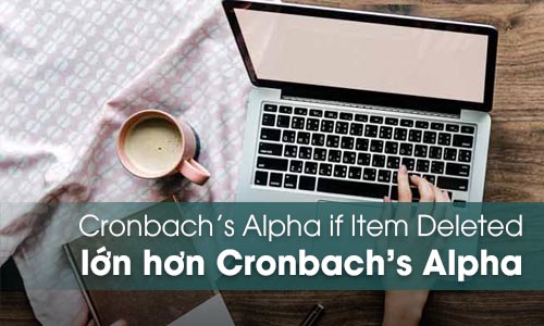 Cronbach’s Alpha if Item Deleted lớn hơn Cronbach's Alpha của nhóm