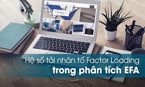 Hệ số tải nhân tố Factor Loading trong EFA