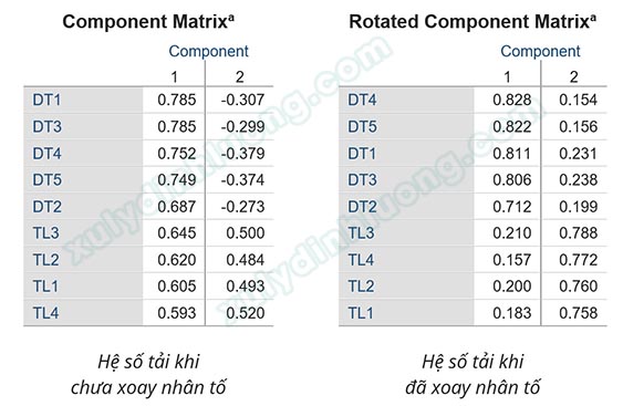 Hệ số tải nhân tố Factor Loading trong EFA
