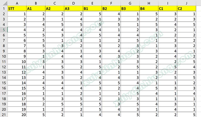 Cách vẽ mô hình đường dẫn trên SMARTPLS