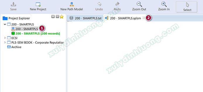 Cách vẽ mô hình đường dẫn trên SMARTPLS