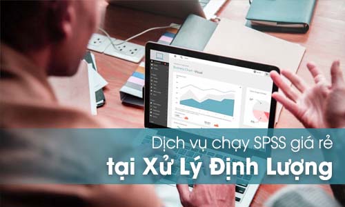 Chuyên cung cấp dịch vụ chạy SPSS giá rẻ tại Việt Nam Dich-vu-chay-spss-gia-re-1