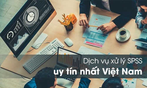 dich vu xu ly spss