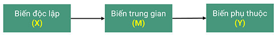 mo hinh nghien cuu