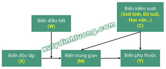 mo hinh nghien cuu