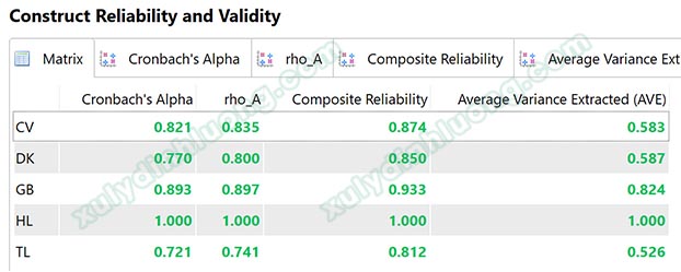 Khác biệt Composite Reliability rho_c và rho_a trong SMARTPLS