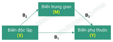 bien trung gian