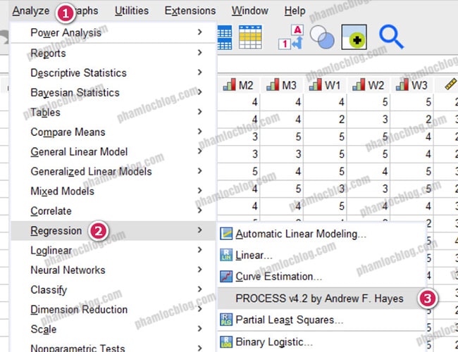 moderated mediation PROCESS