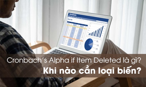 Cronbach’s Alpha if Item Deleted