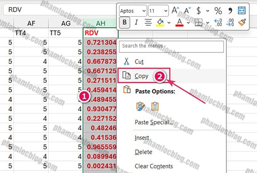 Random Dummy Variable (RDV)